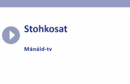 film Stohkosat