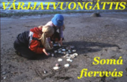 bok Várjjatvuongáttis - Somá fiervvás