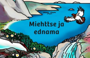 Miehttse ja ednama