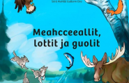 Meahcceeallit, lottit ja guolit