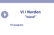 Vi i Norden Island