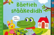 Båetieh stååkedidh