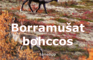 Borramušat bohccos