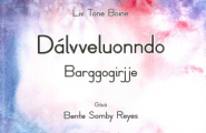 Dálvveluonndo - Barggogirjje