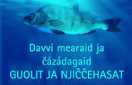 Davvi mearaid ja čázádagaid guolit ja njiččehasat
