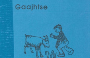 bok Gaajhtse