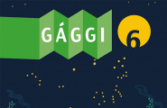 Gággi 6
