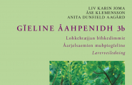 bok Gïeline åahpenidh 3b - Lohkehtæjjan bïhkedimmie