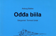 Ođđa biila