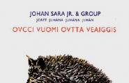 Ovcci vuomi ovtta veaiggis