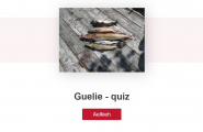 digital_ressurs Quiz - Aamhtese guelie