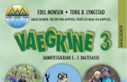 bok Vaegkine 3